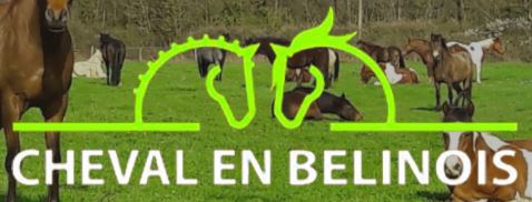 cheval en bélinois