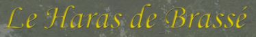 haras de brasse