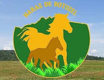 haras de botozel pension pour chevaux en Savoie
