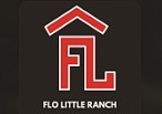 Flo little ranch pension pour chevaux dans la haute-savoie