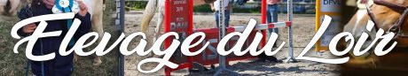 elevage du loir