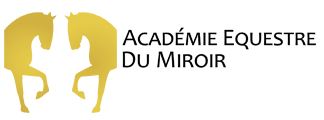academie equestre du miroir