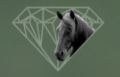 haras du diamant noir