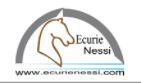 écurie nessi