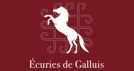 Ecuries de Galluis, pension pour chevaux dans les Yvelines