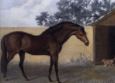 écuries godolphin