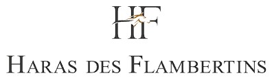 Haras des Flambertins, pension pour chevaux dans les Yvelines