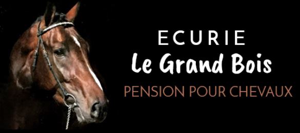 écurie le grand bois
