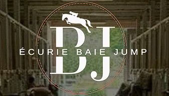 écurie baie jump, pension pour chevaux dans la Somme