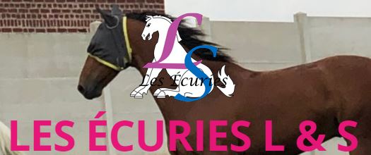 écuries l&s