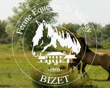 ferme équestre de morlay