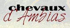 chevaux d'ambias
