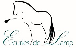 les écuries de Lamp, pension pour chevaux dans le Tarn