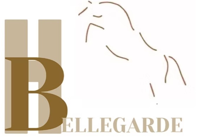 Haras de Bellegarde, pension pour chevaux dans le Tarn