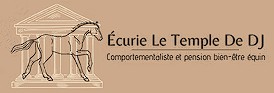 écurie le temple de DJ, pension pour chevaux dans le Tarn