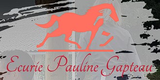 écurie Pauline Gapteau, pension pour chevaux dans le Tarn-et-Garonne
