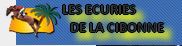 écuries de la cibonne
