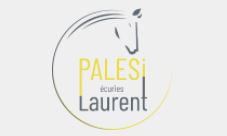 écuries laurent palesi