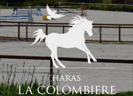 haras la colombière