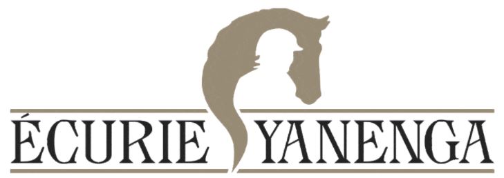 écurie yanenga