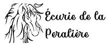 ecurie de la peraliere, pension pour chevaux en Vendee