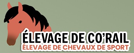 elevage de co'rail, pension pour chevaux en Vendee