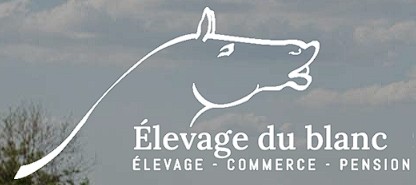 elevage du blanc, pension pour chevaux en Vendee