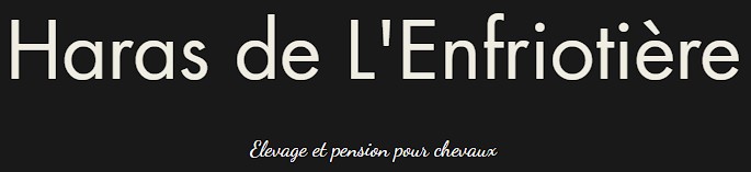 haras de l'enfriotiere, pension pour chevaux en Vendee