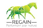 Regain, pension pour chevaux en Vendee