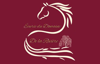 ecurie du domaine de la riviere, pension pour chevaux dans la Vienne