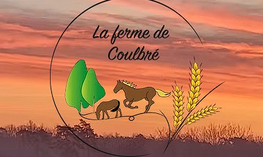 la ferme de coulbre, pension pour chevaux dans la Vienne
