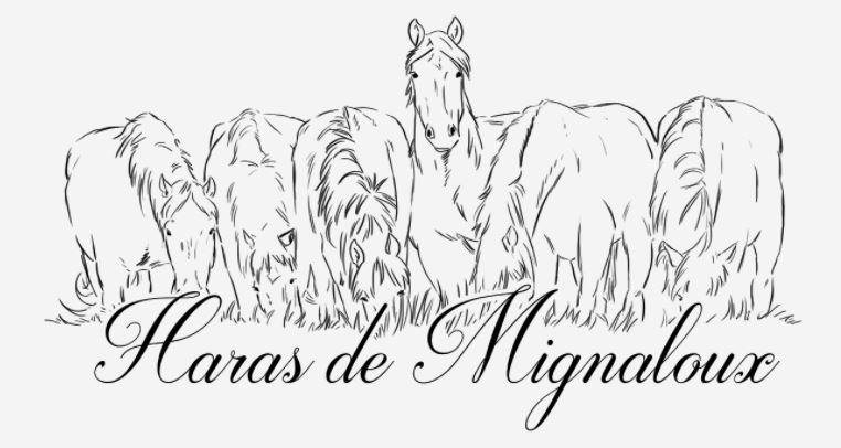 haras mignaloux