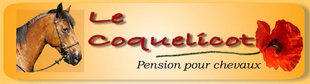 le coquelicot