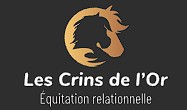 les crins de l'or, pension pour chevaux dans les vosges