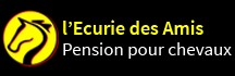 l ecurie des amis, pension pour chevaux dans l Yonne