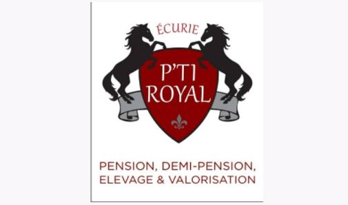 écurie ptit royal