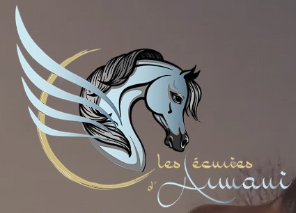 les ecuries d armani, pension pour chevaux dans l Yonne