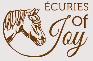 ecuries of joy pension pour chevaux dans l Yonne