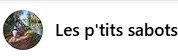 les p'tits sabots, centre equestre de germigny, pension pour chevaux dans l Yonne