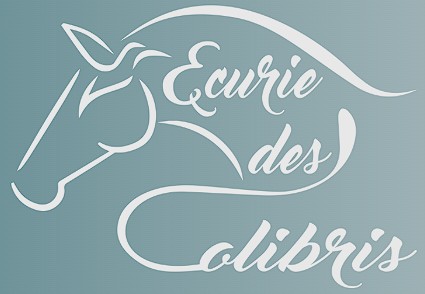ecurie des colibris, pension pour chevaux dans l essonne