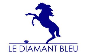 le diamant bleu