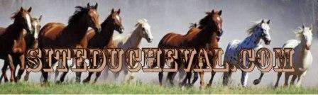 bannière siteducheval.com