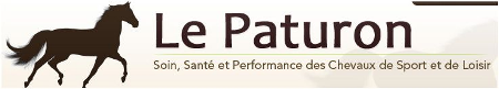 le paturon